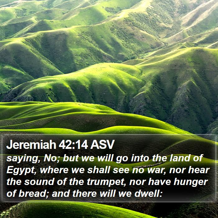 Jeremiah 42:14 ASV Bible Study