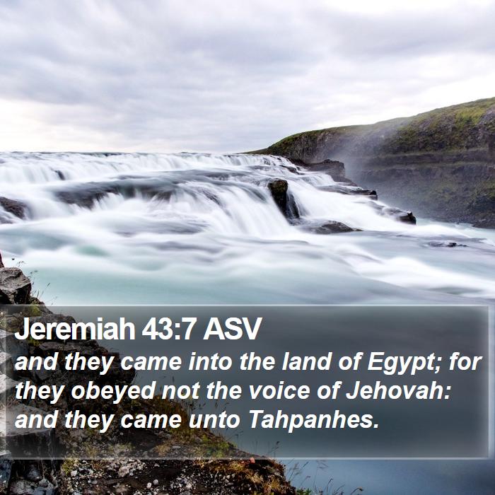 Jeremiah 43:7 ASV Bible Study