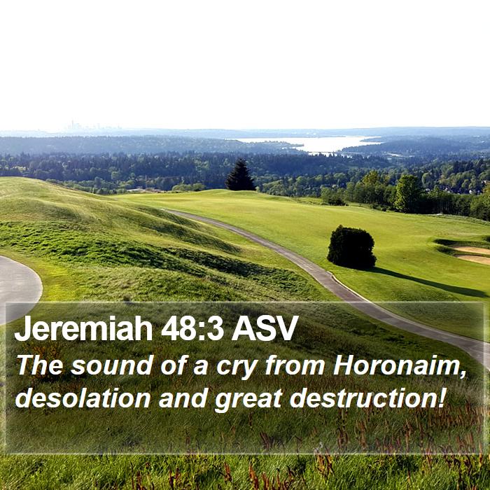 Jeremiah 48:3 ASV Bible Study