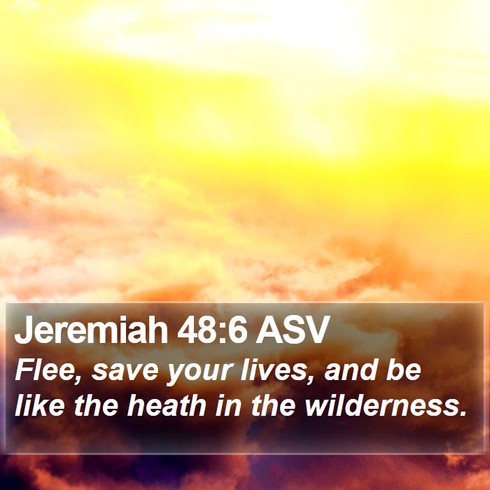 Jeremiah 48:6 ASV Bible Study