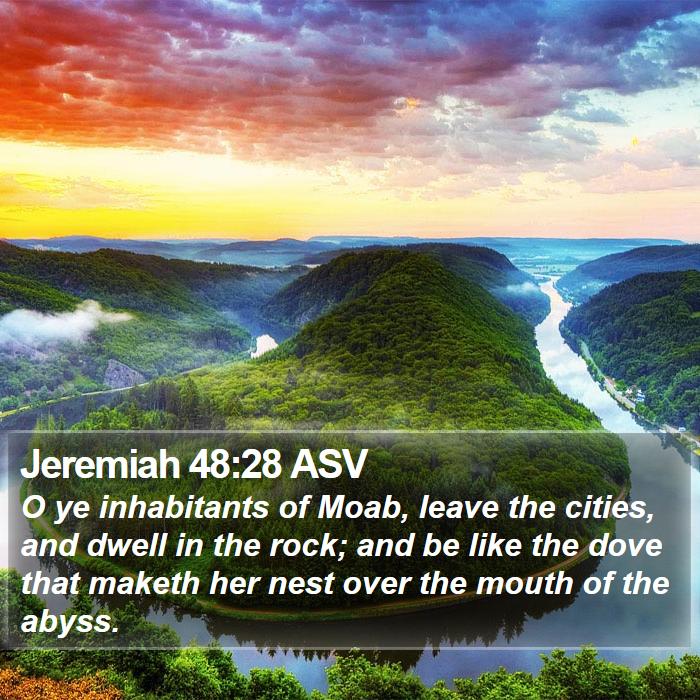 Jeremiah 48:28 ASV Bible Study