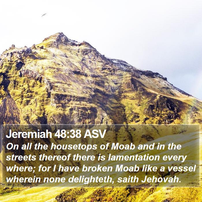 Jeremiah 48:38 ASV Bible Study