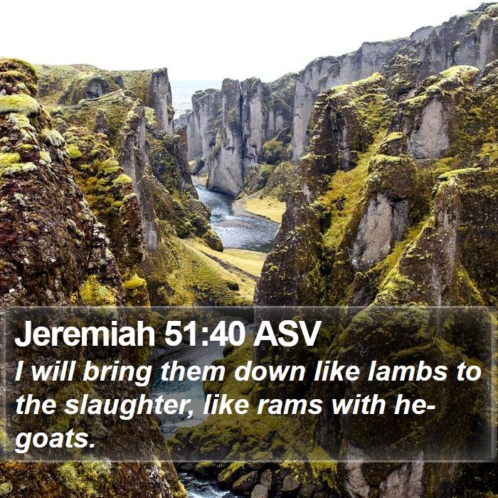 Jeremiah 51:40 ASV Bible Study