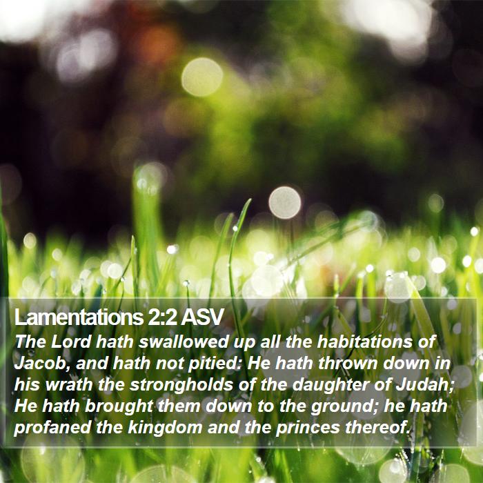 Lamentations 2:2 ASV Bible Study