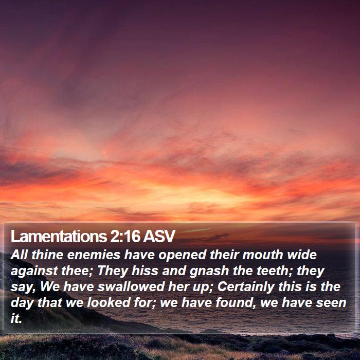 Lamentations 2:16 ASV Bible Study