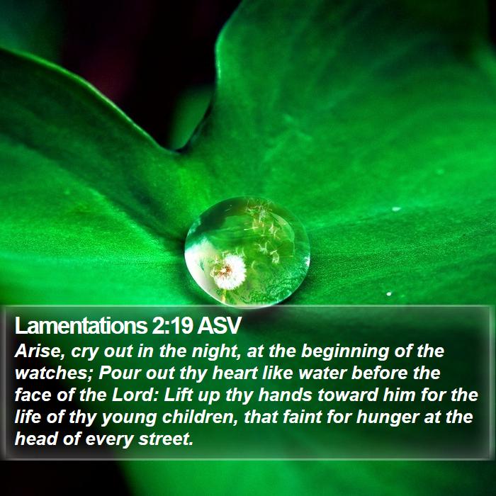 Lamentations 2:19 ASV Bible Study