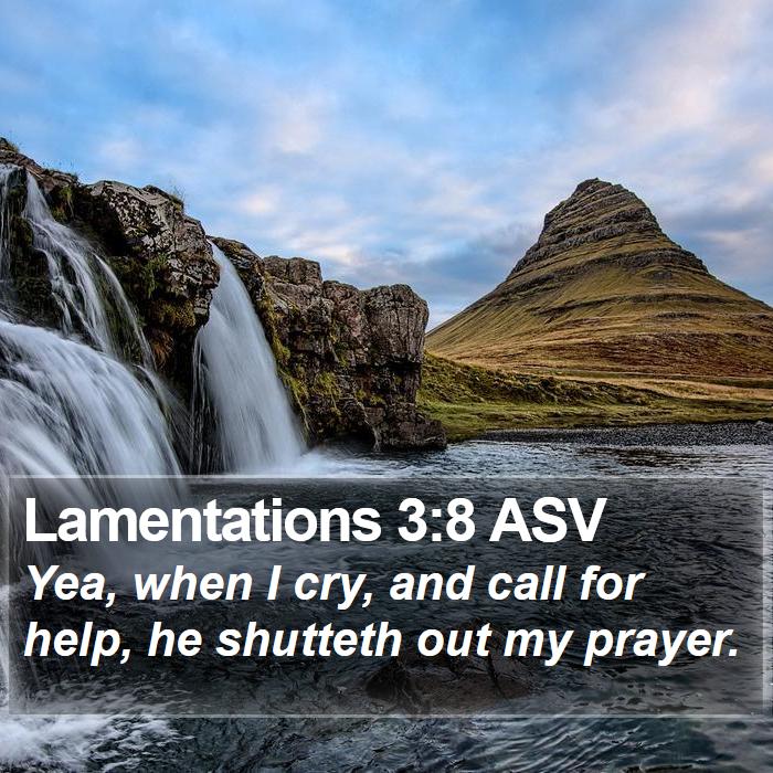 Lamentations 3:8 ASV Bible Study