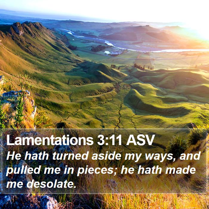 Lamentations 3:11 ASV Bible Study