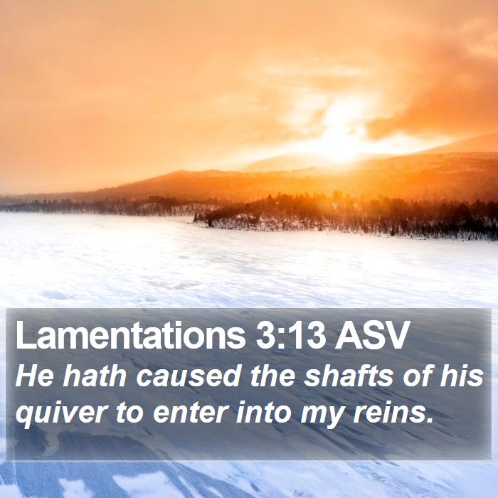 Lamentations 3:13 ASV Bible Study