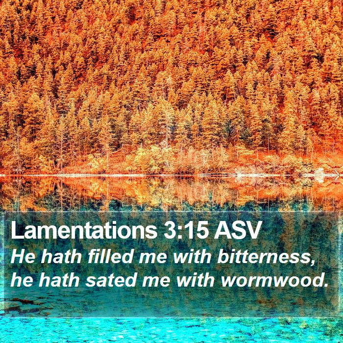 Lamentations 3:15 ASV Bible Study