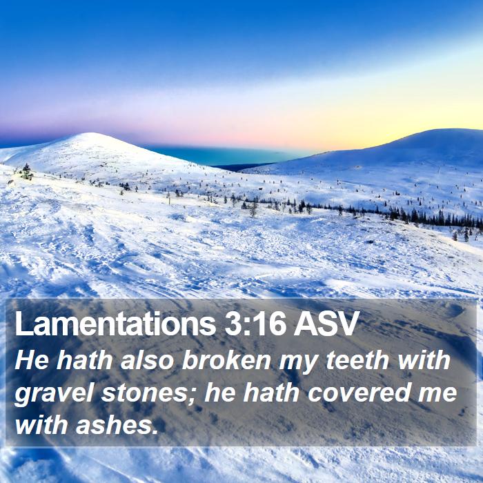 Lamentations 3:16 ASV Bible Study