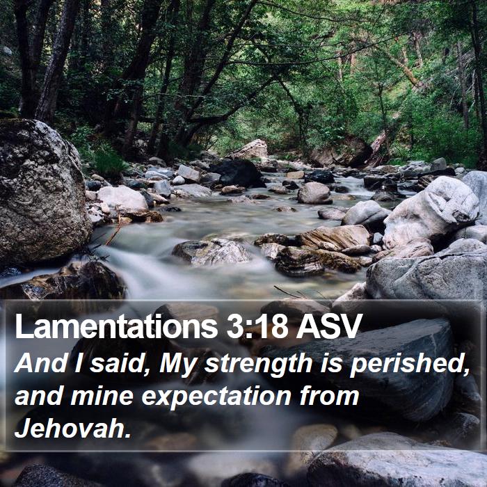 Lamentations 3:18 ASV Bible Study