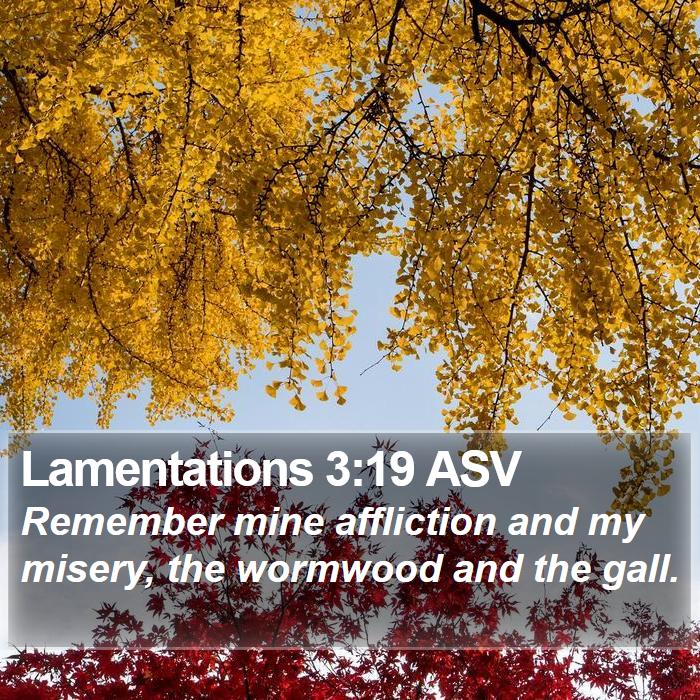 Lamentations 3:19 ASV Bible Study