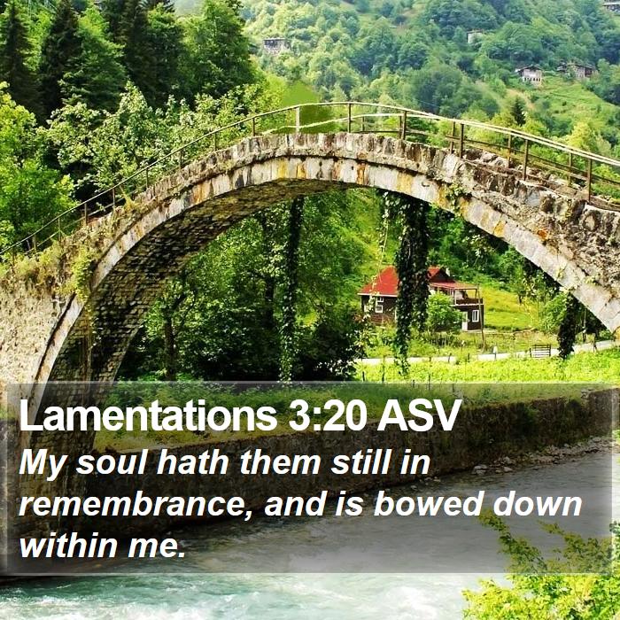 Lamentations 3:20 ASV Bible Study