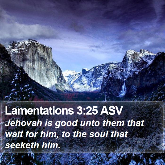 Lamentations 3:25 ASV Bible Study