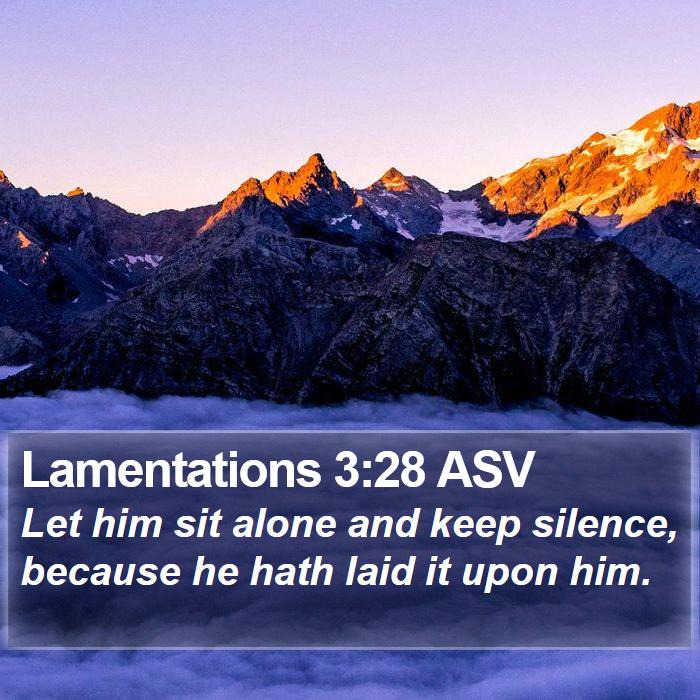 Lamentations 3:28 ASV Bible Study