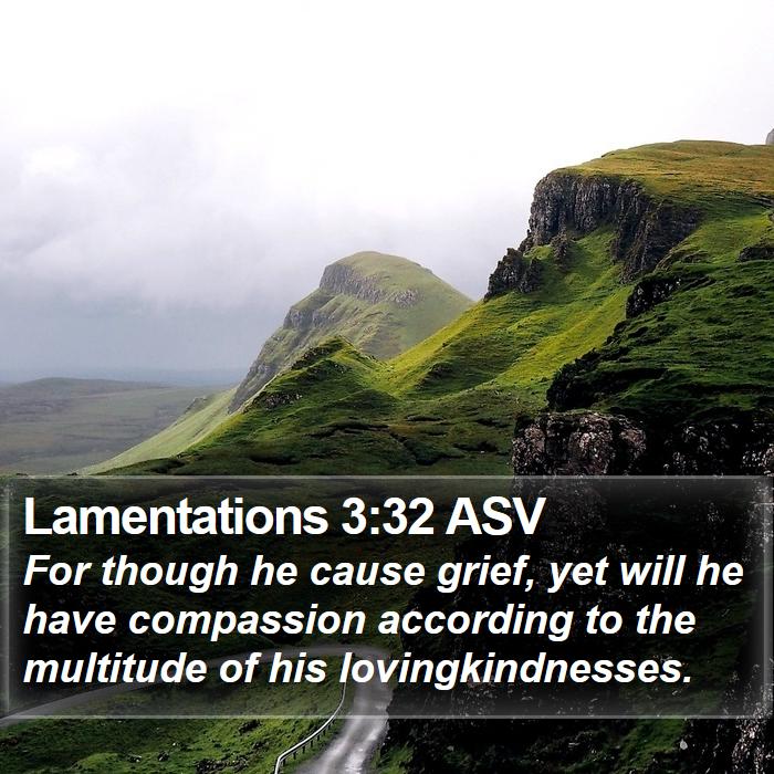 Lamentations 3:32 ASV Bible Study