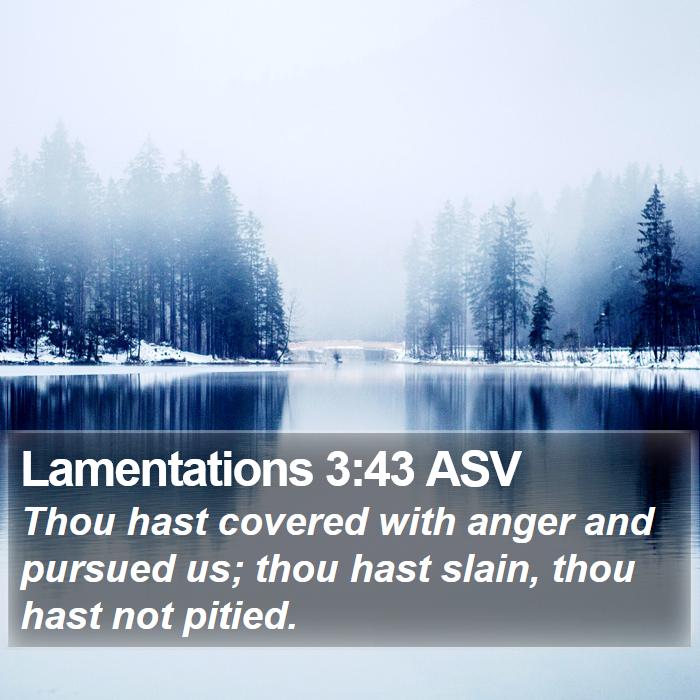 Lamentations 3:43 ASV Bible Study