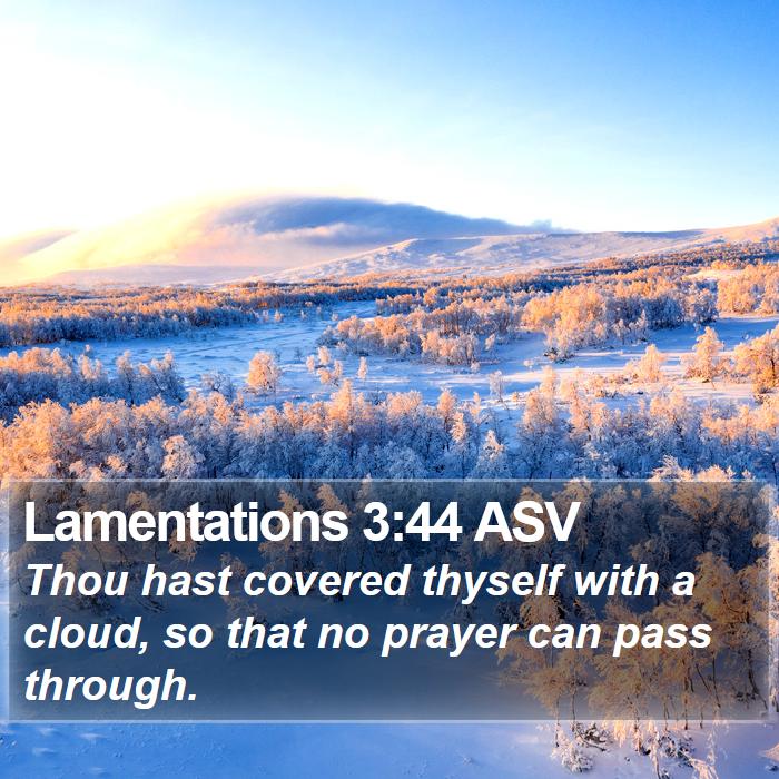 Lamentations 3:44 ASV Bible Study