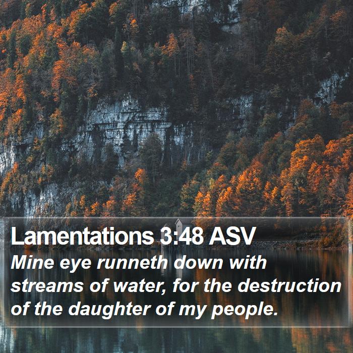 Lamentations 3:48 ASV Bible Study