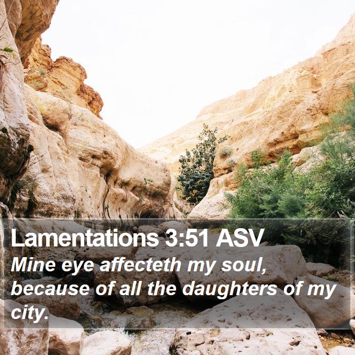 Lamentations 3:51 ASV Bible Study