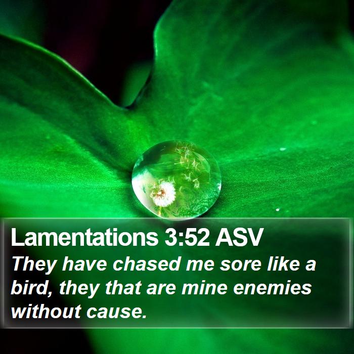 Lamentations 3:52 ASV Bible Study