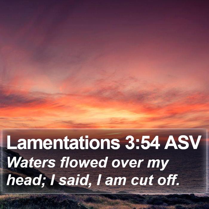 Lamentations 3:54 ASV Bible Study