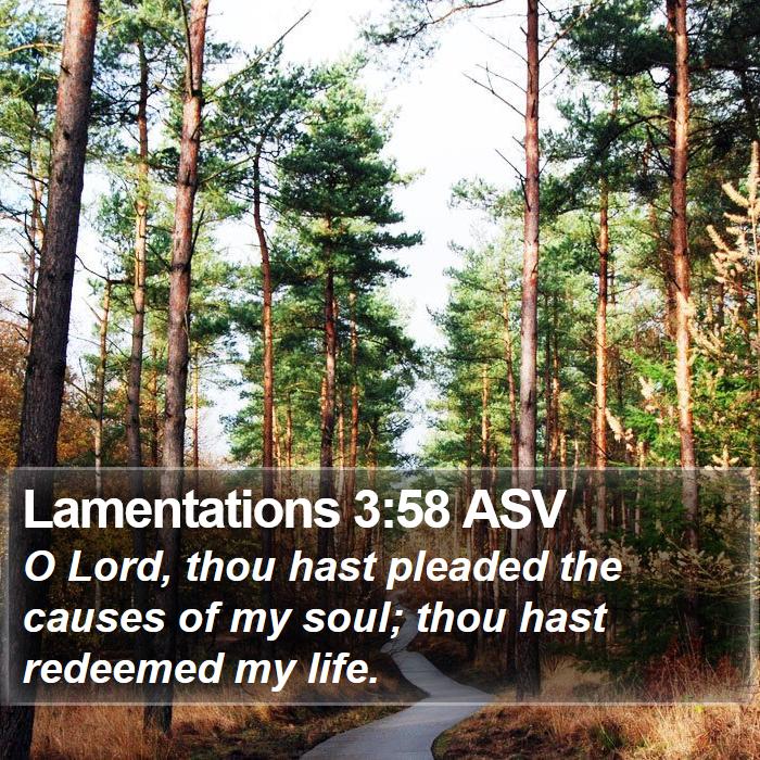 Lamentations 3:58 ASV Bible Study