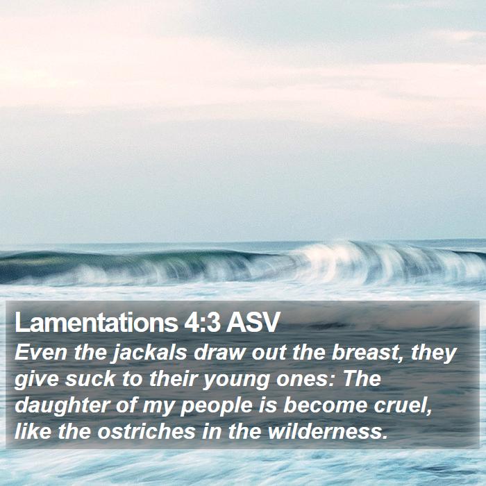 Lamentations 4:3 ASV Bible Study