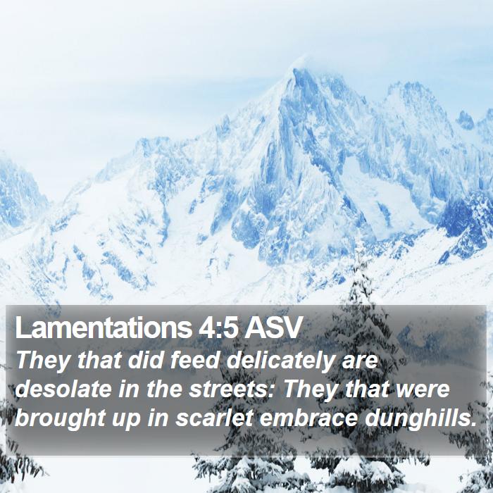 Lamentations 4:5 ASV Bible Study