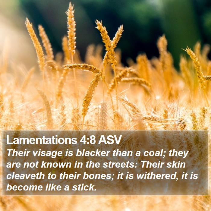 Lamentations 4:8 ASV Bible Study