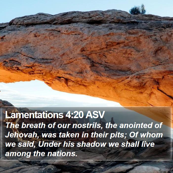 Lamentations 4:20 ASV Bible Study