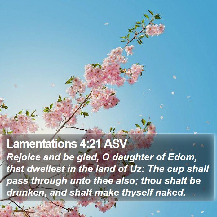 Lamentations 4:21 ASV Bible Study