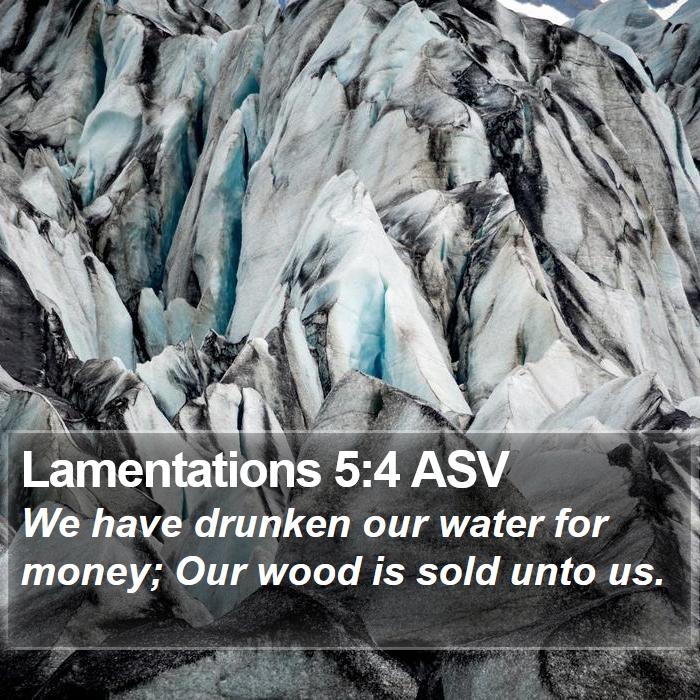 Lamentations 5:4 ASV Bible Study