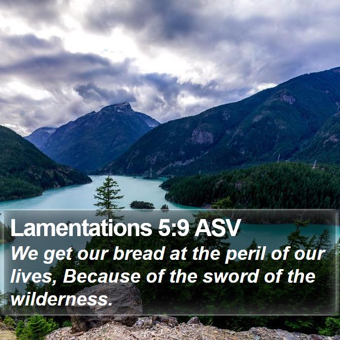 Lamentations 5:9 ASV Bible Study