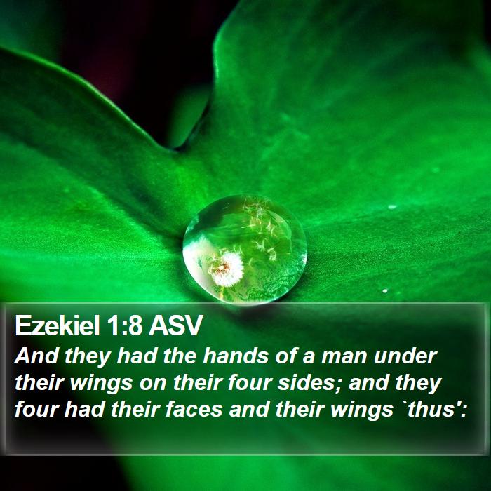 Ezekiel 1:8 ASV Bible Study