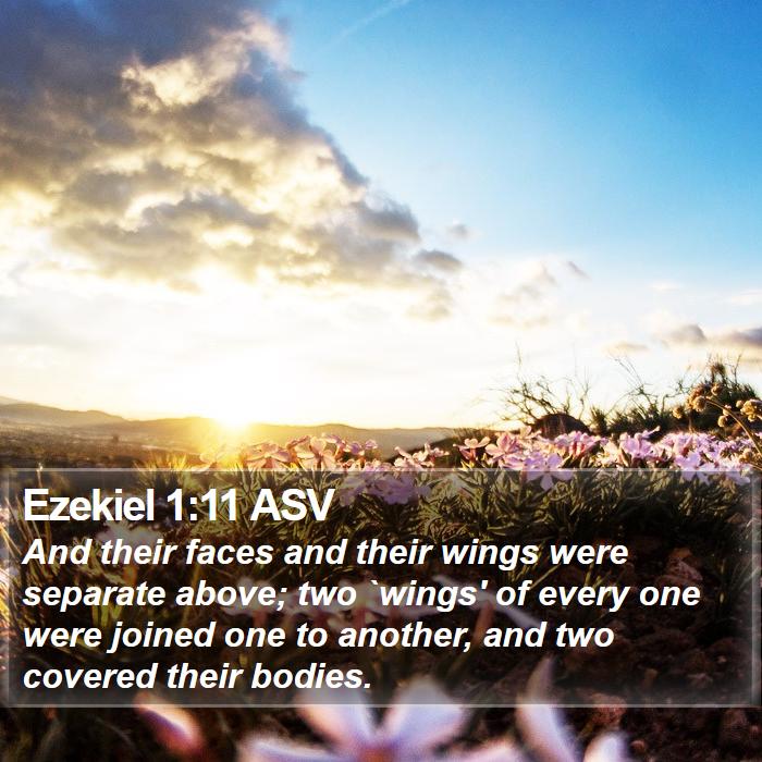 Ezekiel 1:11 ASV Bible Study