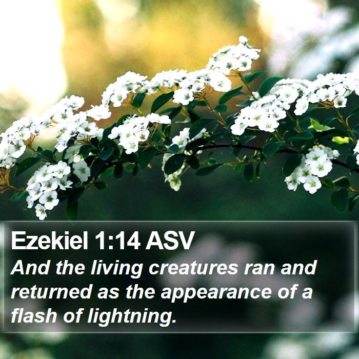 Ezekiel 1:14 ASV Bible Study