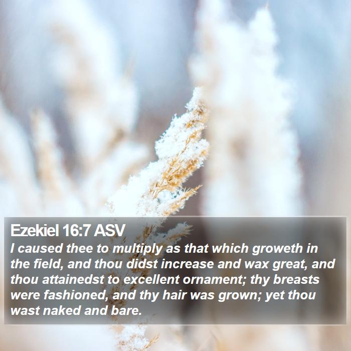 Ezekiel 16:7 ASV Bible Study