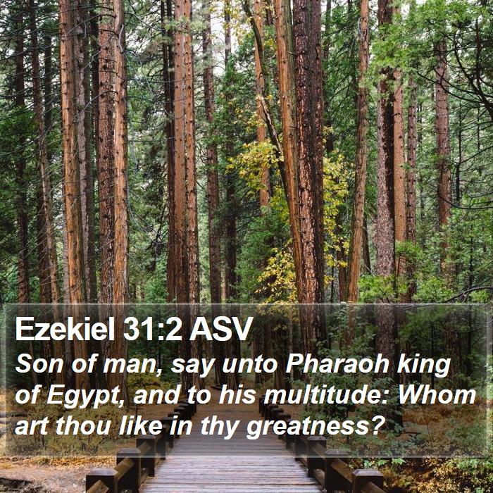 Ezekiel 31:2 ASV Bible Study