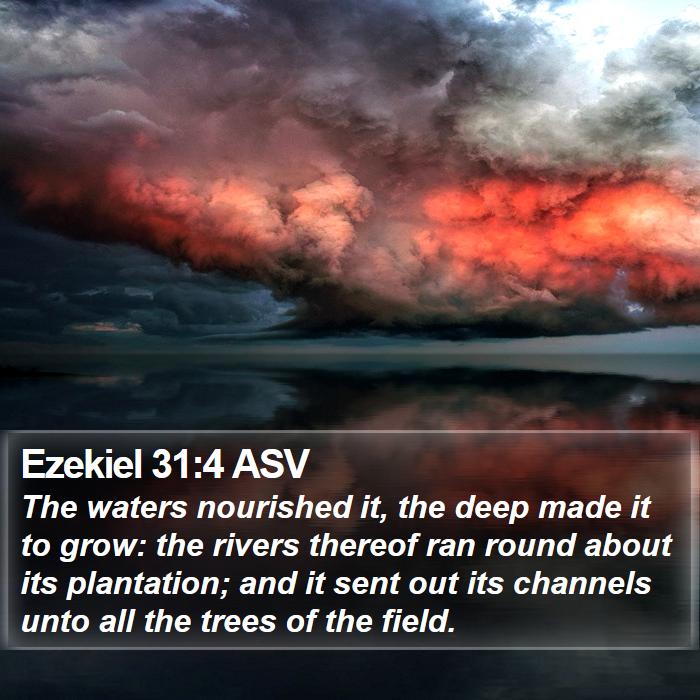 Ezekiel 31:4 ASV Bible Study