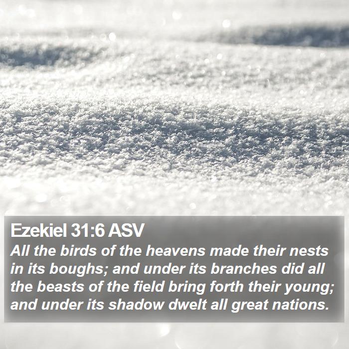 Ezekiel 31:6 ASV Bible Study