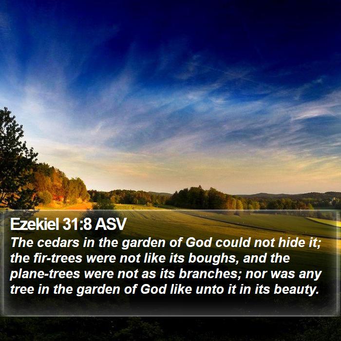 Ezekiel 31:8 ASV Bible Study