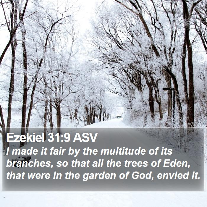 Ezekiel 31:9 ASV Bible Study