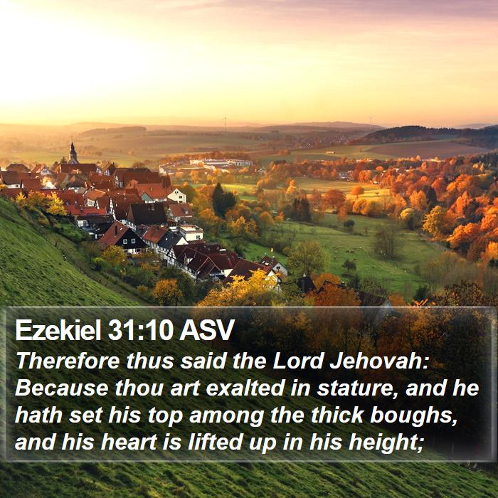 Ezekiel 31:10 ASV Bible Study