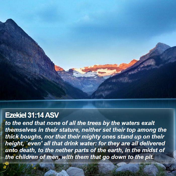 Ezekiel 31:14 ASV Bible Study