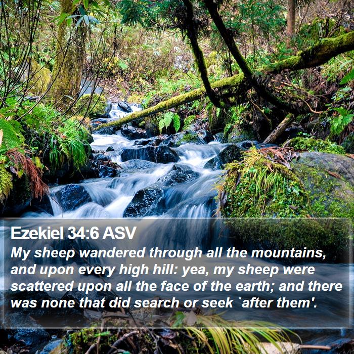 Ezekiel 34:6 ASV Bible Study