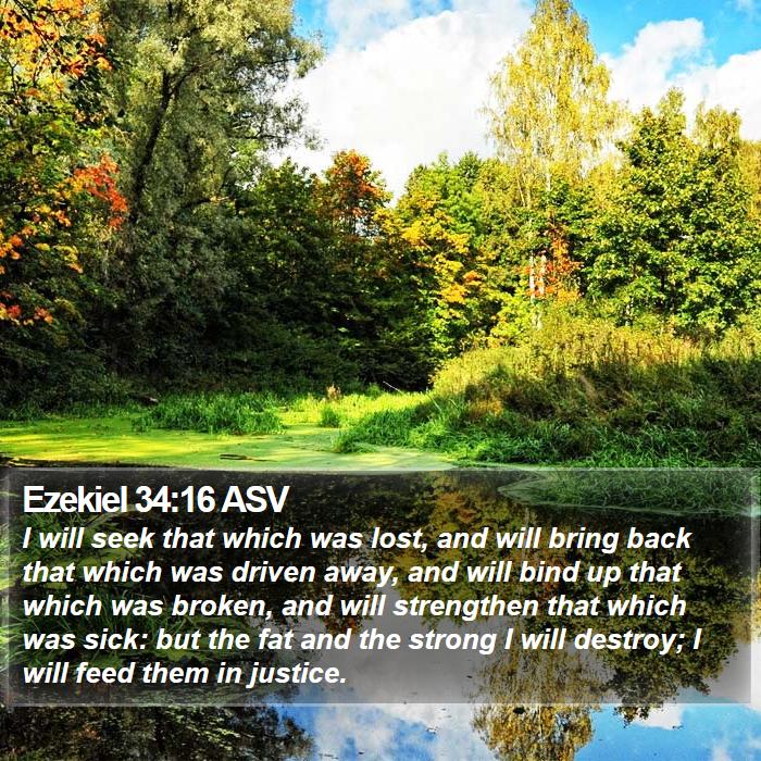 Ezekiel 34:16 ASV Bible Study