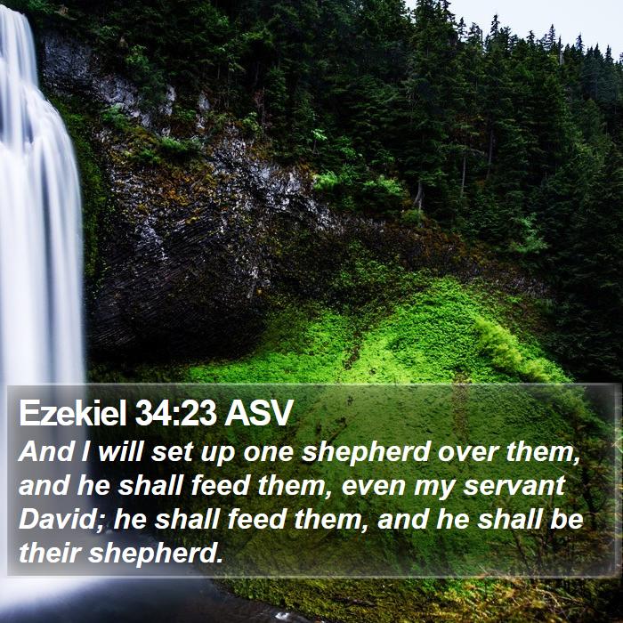 Ezekiel 34:23 ASV Bible Study