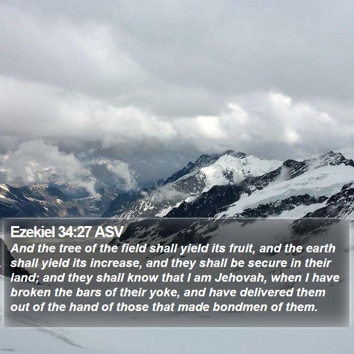 Ezekiel 34:27 ASV Bible Study